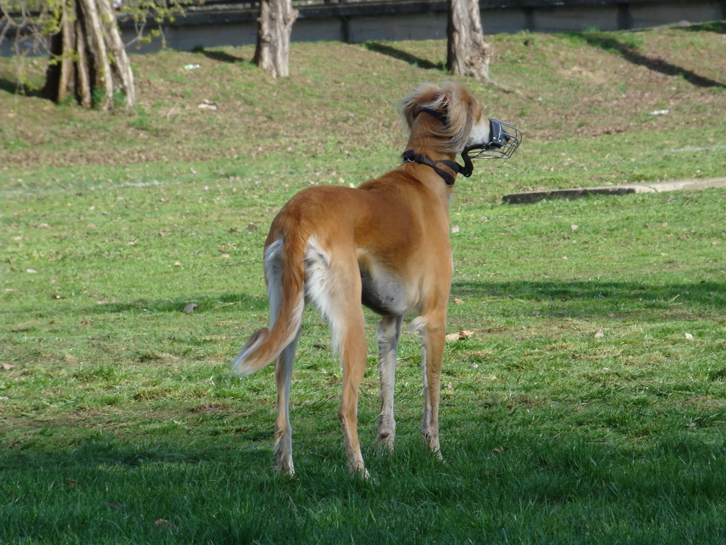 Anička 17.04.2008