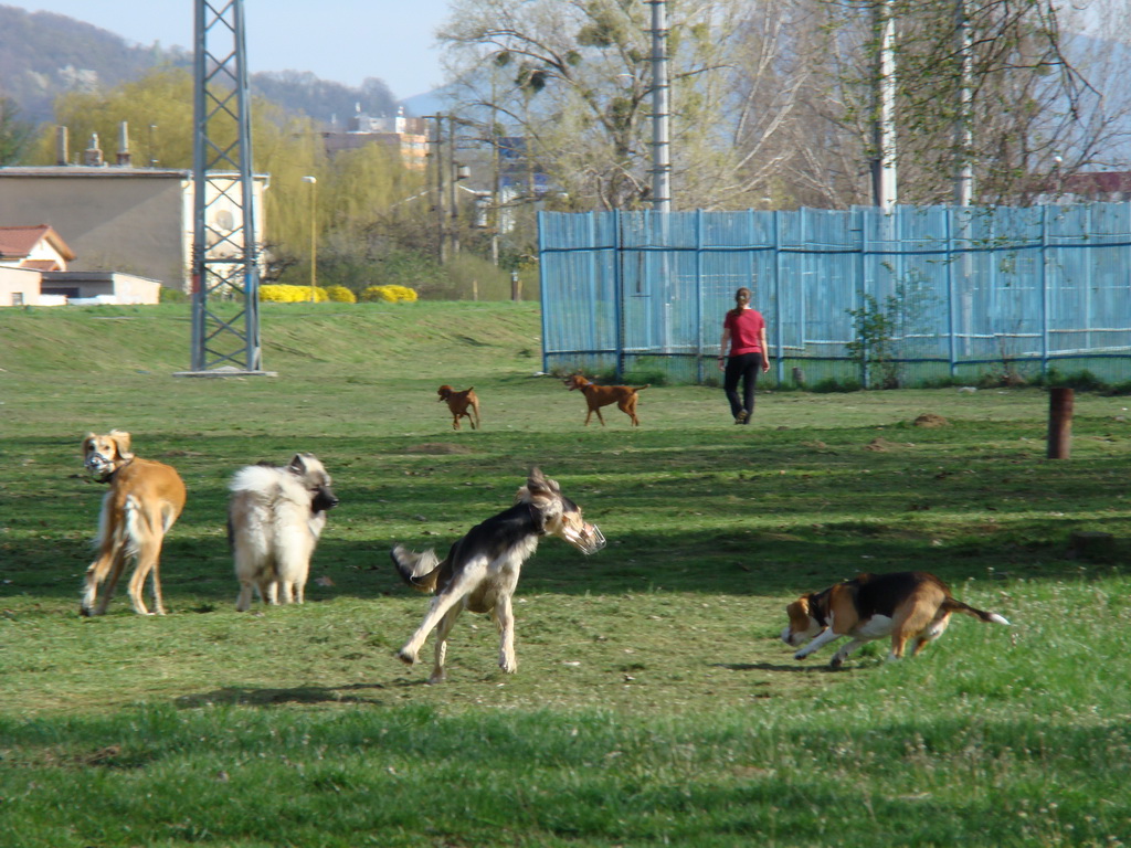 Anička 17.04.2008