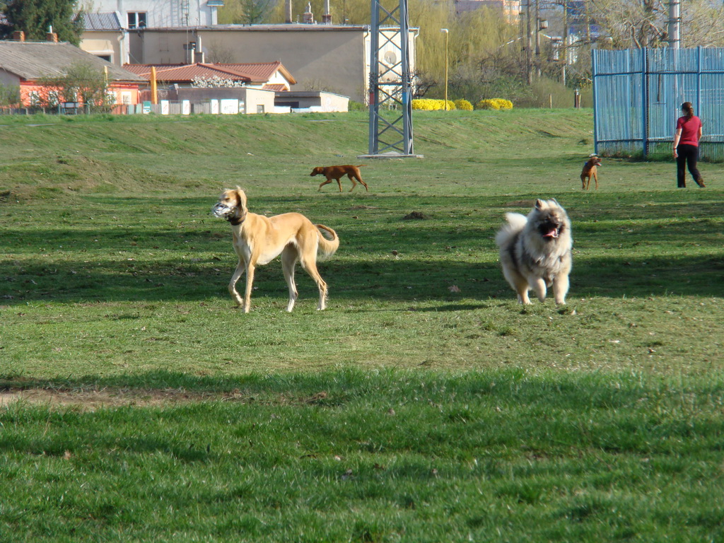 Anička 17.04.2008