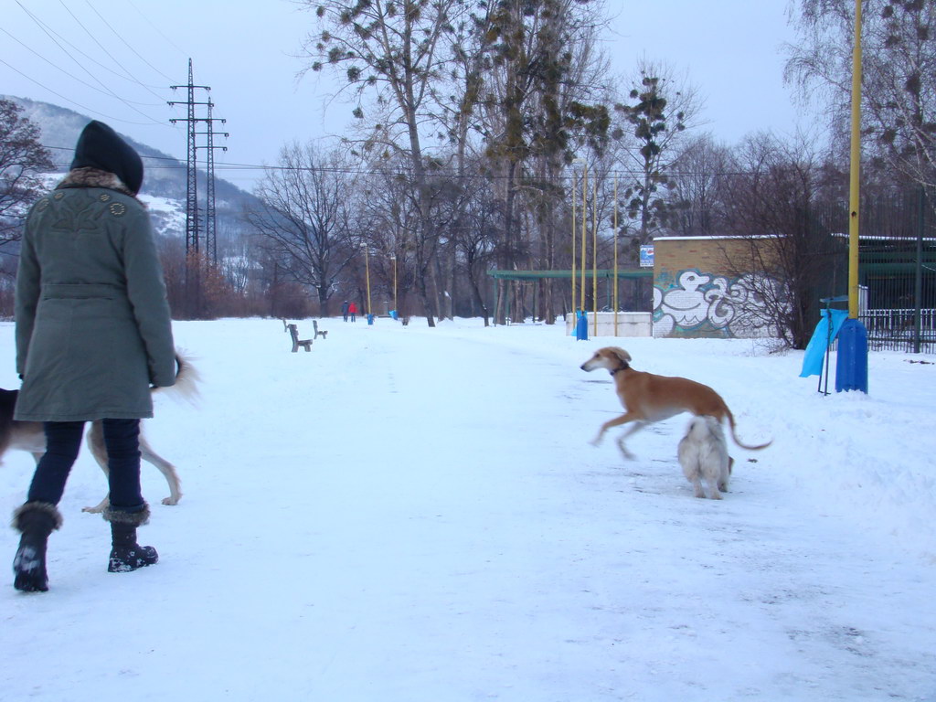 Anička 2.1.2008