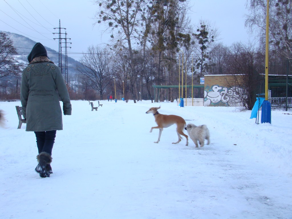 Anička 2.1.2008