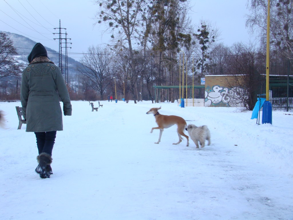 Anička 2.1.2008