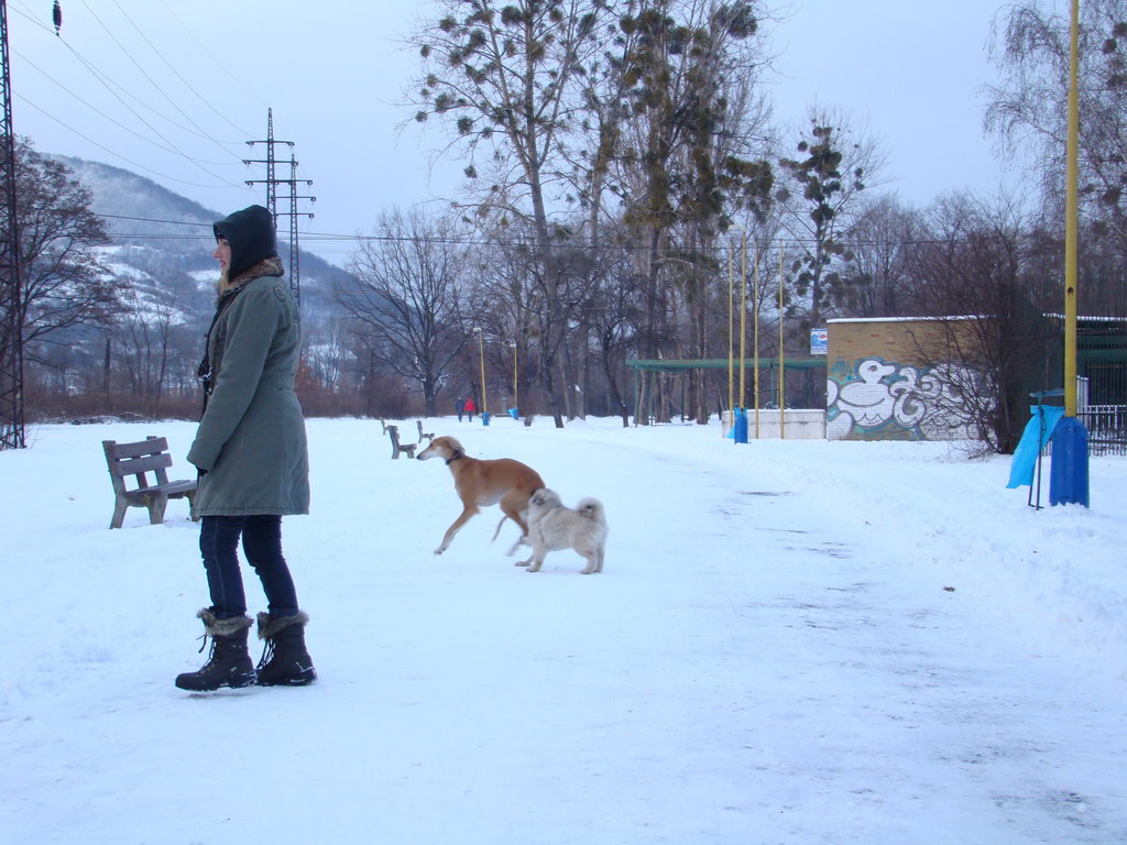 Anička 2.1.2008