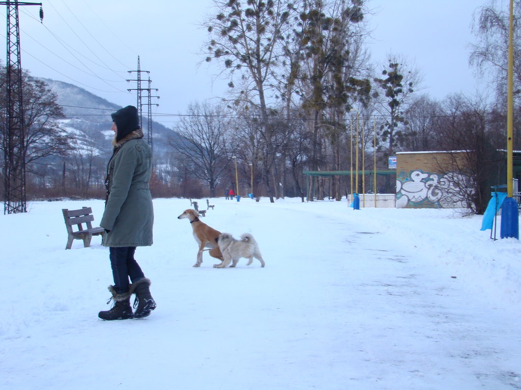 Anička 2.1.2008