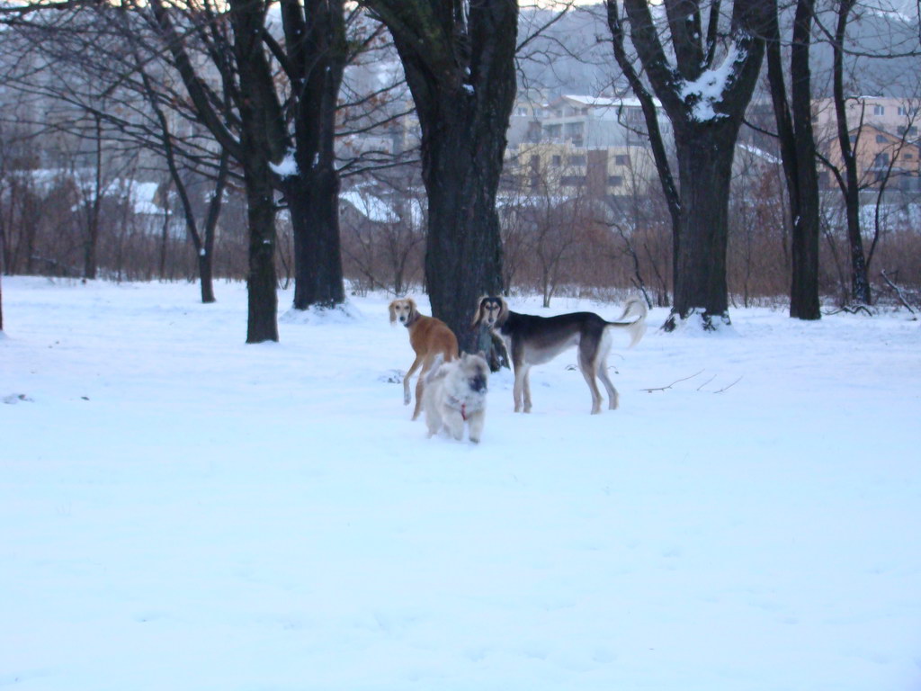 Anička 2.1.2008