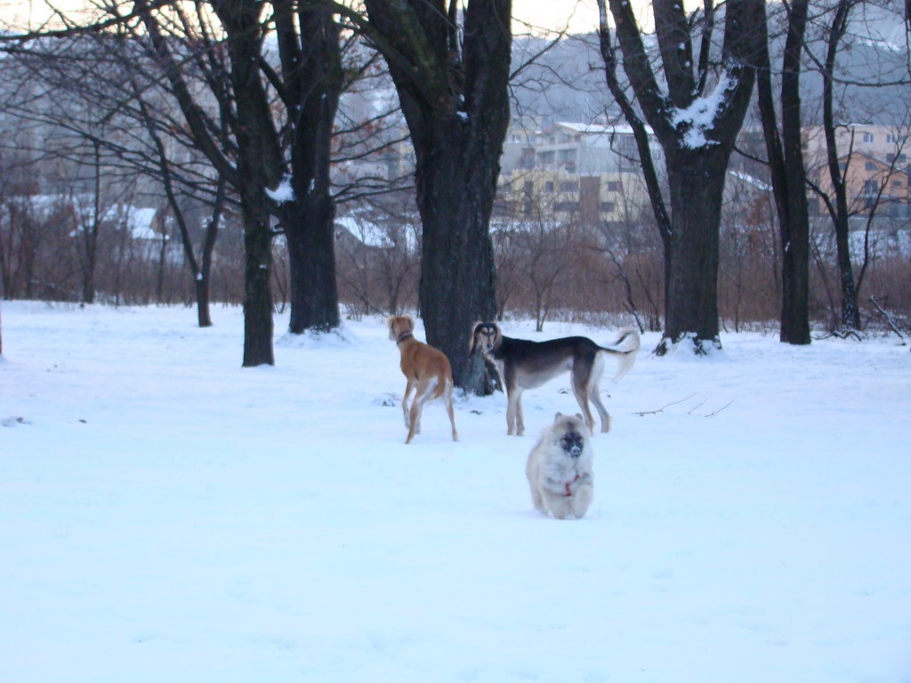 Anička 2.1.2008