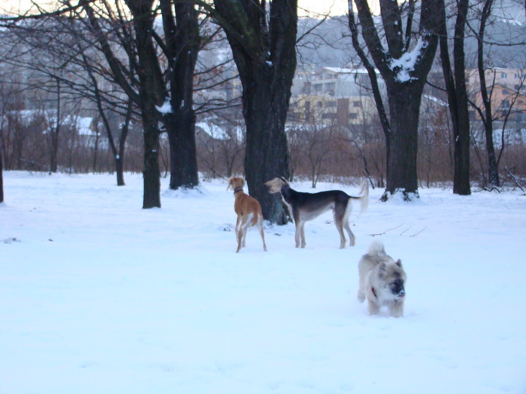 Anička 2.1.2008