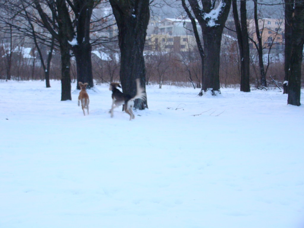 Anička 2.1.2008