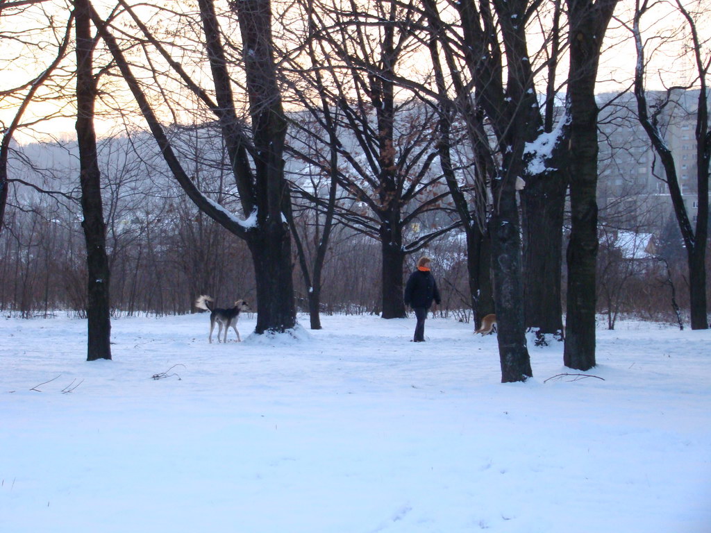 Anička 2.1.2008