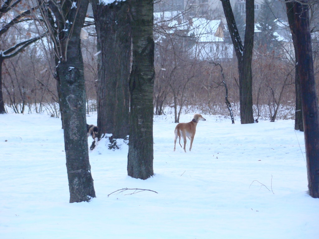 Anička 2.1.2008