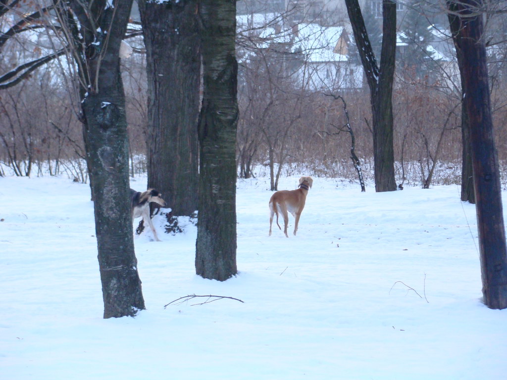 Anička 2.1.2008