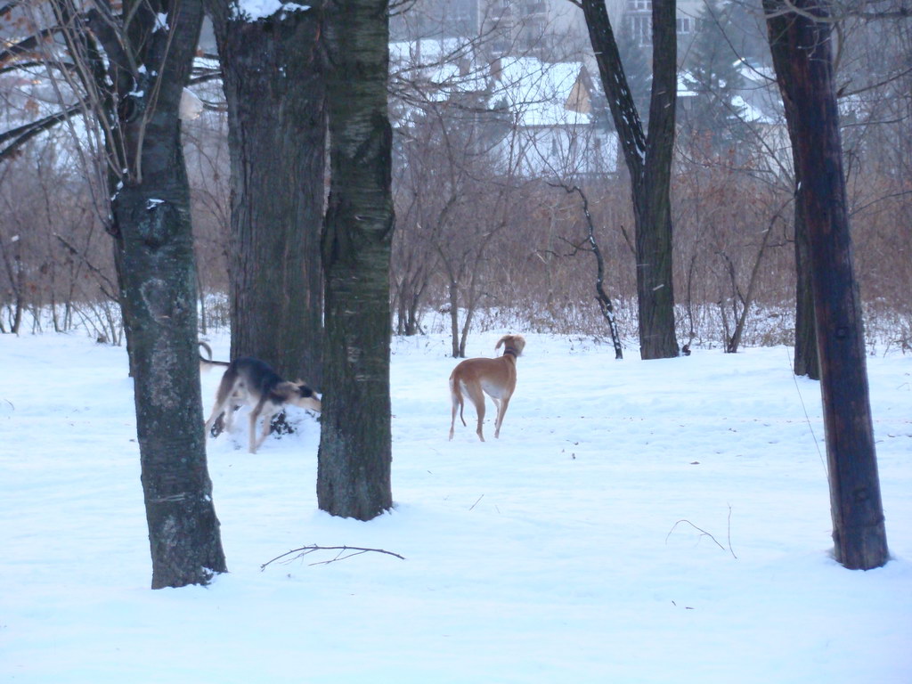 Anička 2.1.2008