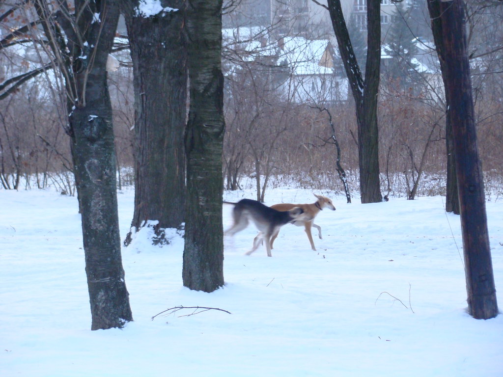 Anička 2.1.2008