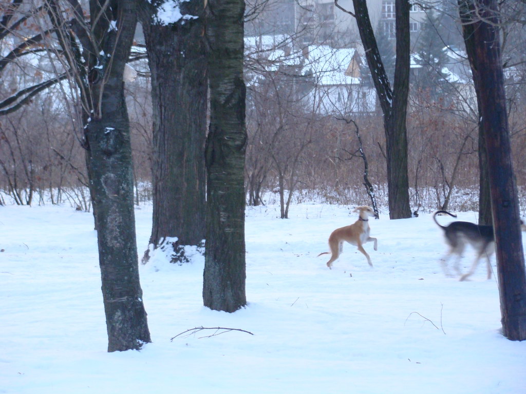 Anička 2.1.2008