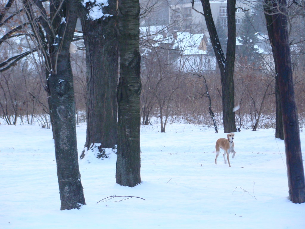 Anička 2.1.2008