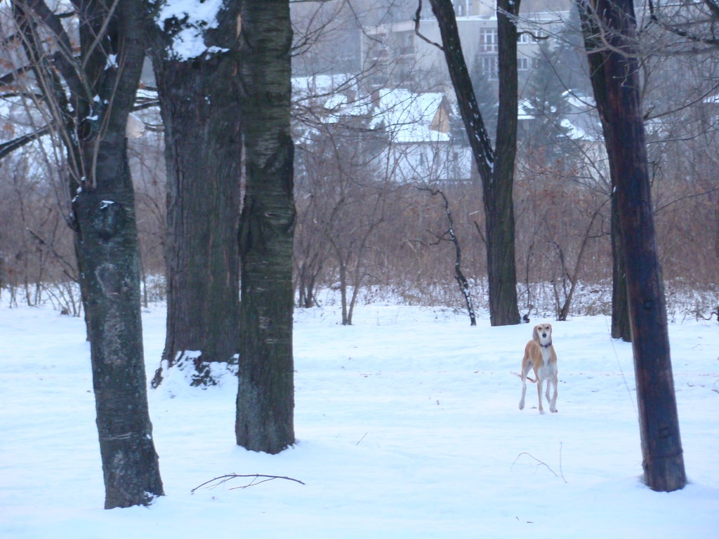 Anička 2.1.2008