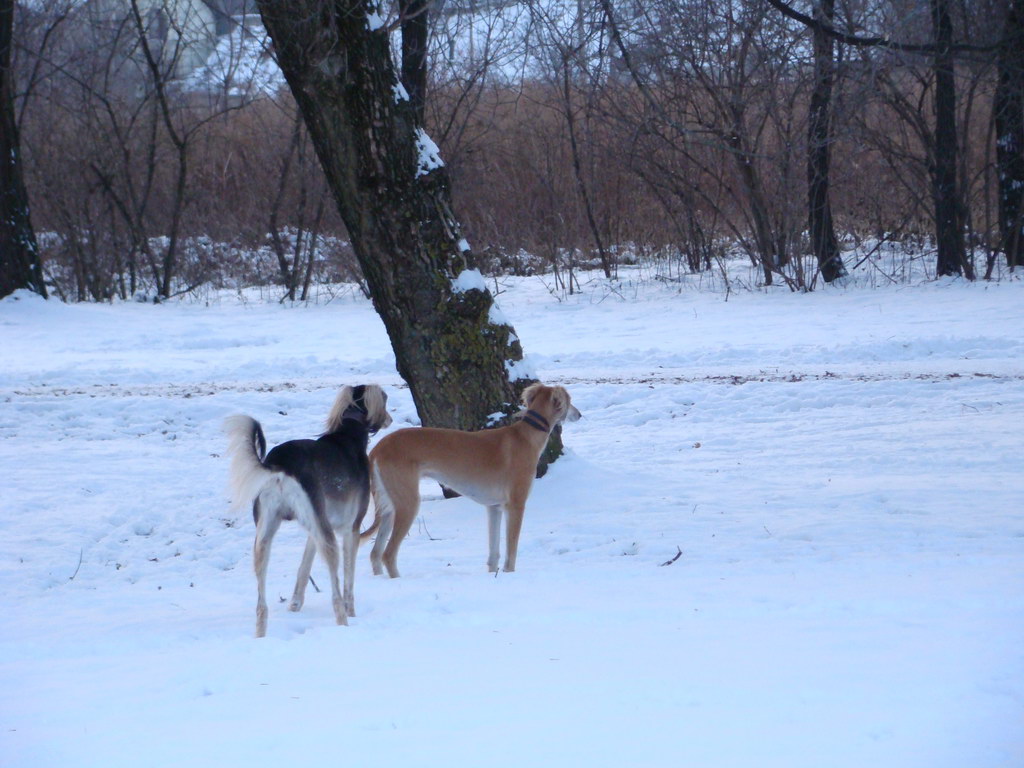 Anička 2.1.2008