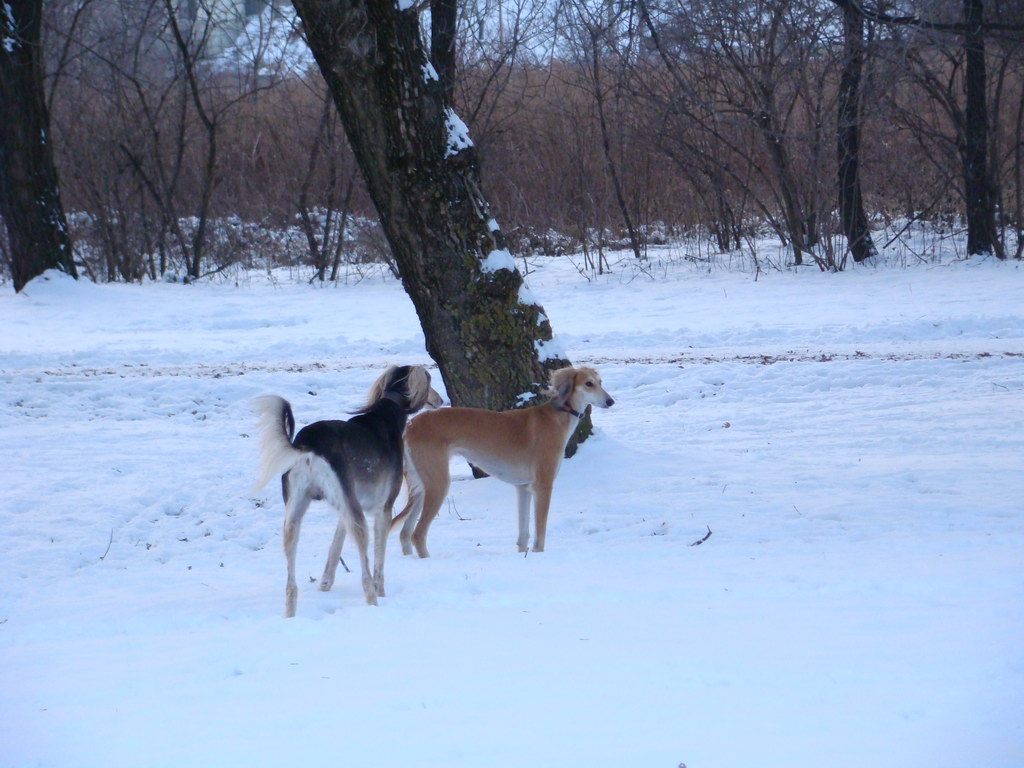 Anička 2.1.2008