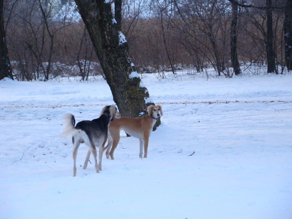 Anička 2.1.2008