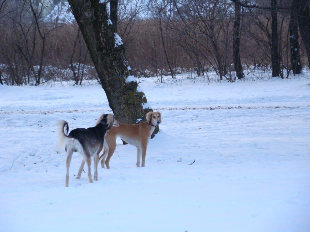 Anička 2.1.2008