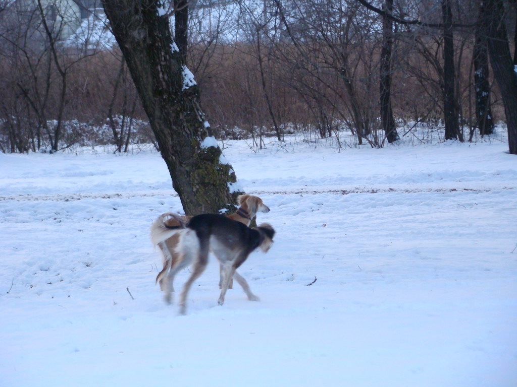 Anička 2.1.2008