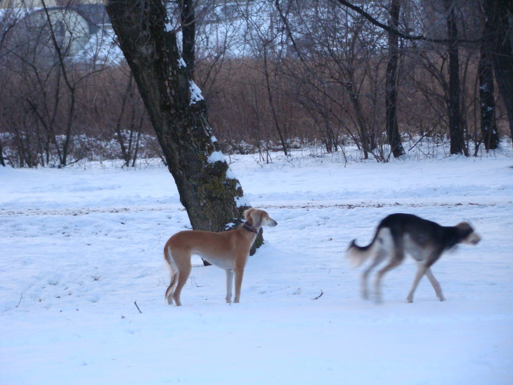 Anička 2.1.2008