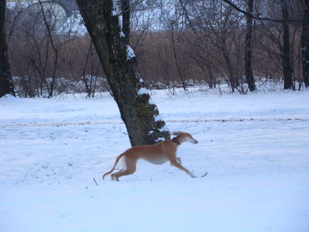 Anička 2.1.2008