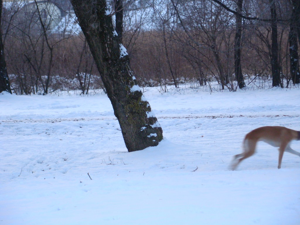 Anička 2.1.2008