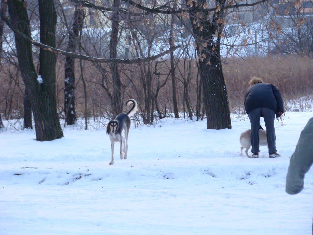 Anička 2.1.2008