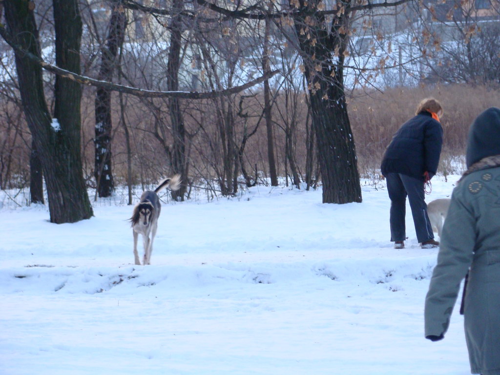 Anička 2.1.2008