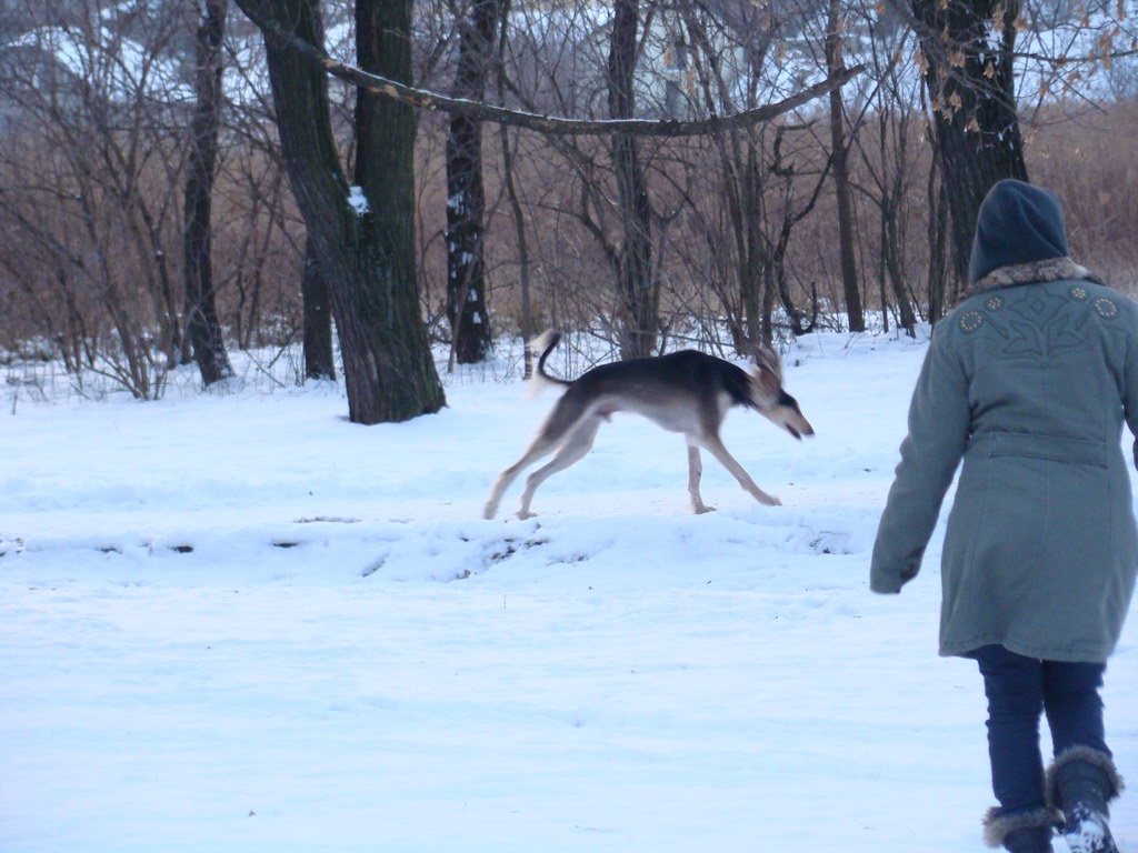 Anička 2.1.2008