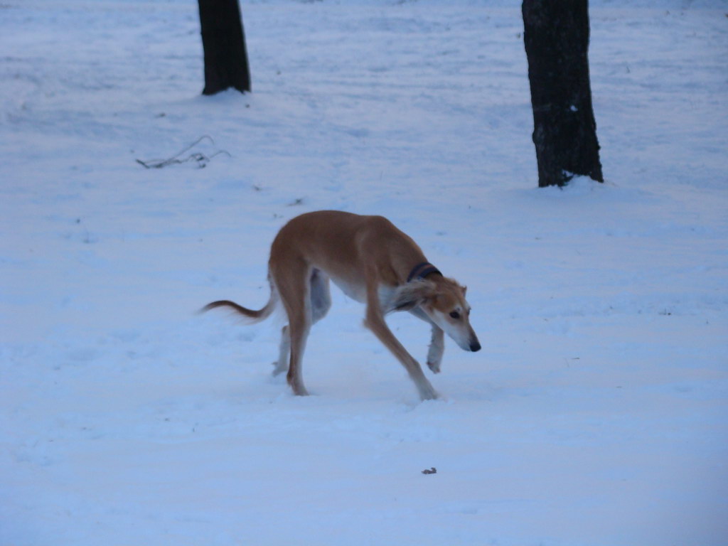 Anička 2.1.2008