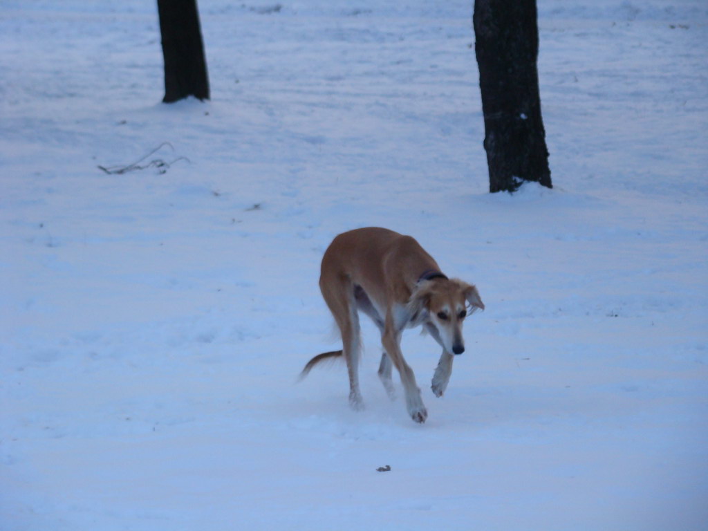 Anička 2.1.2008