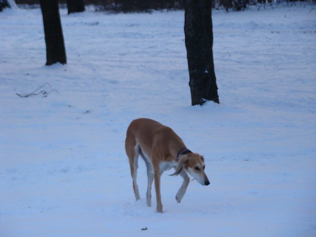 Anička 2.1.2008