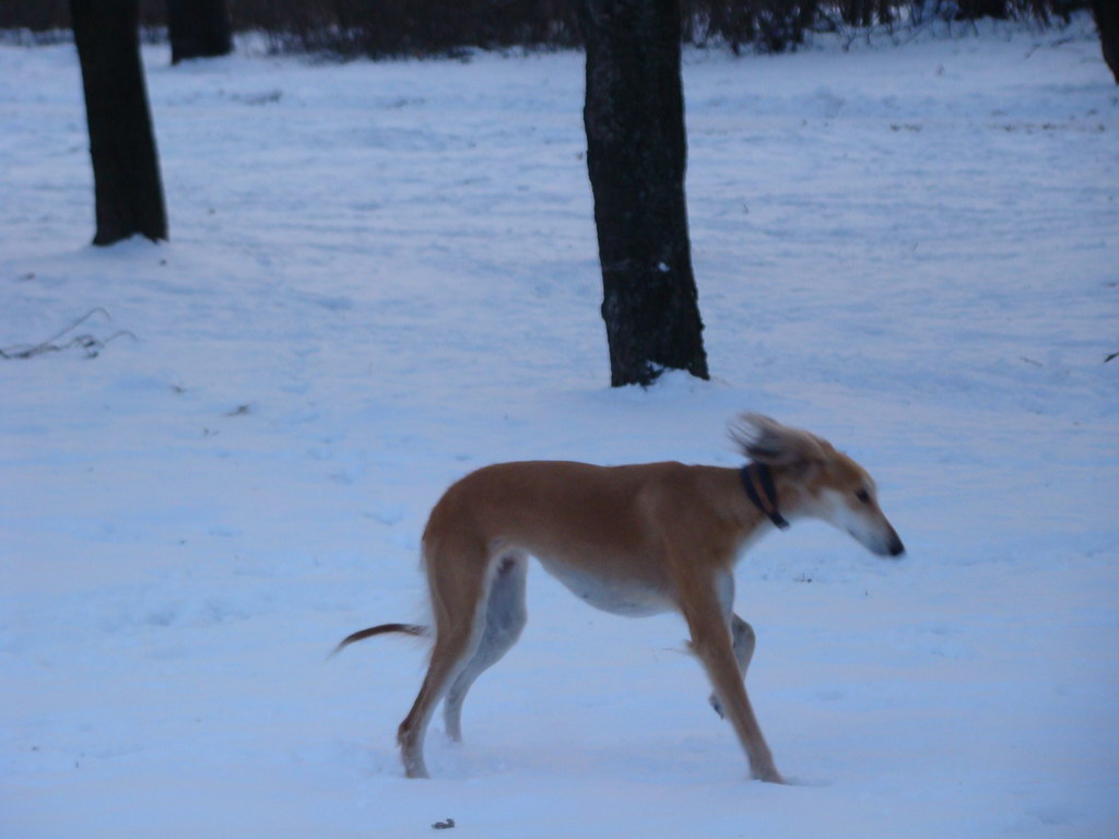 Anička 2.1.2008