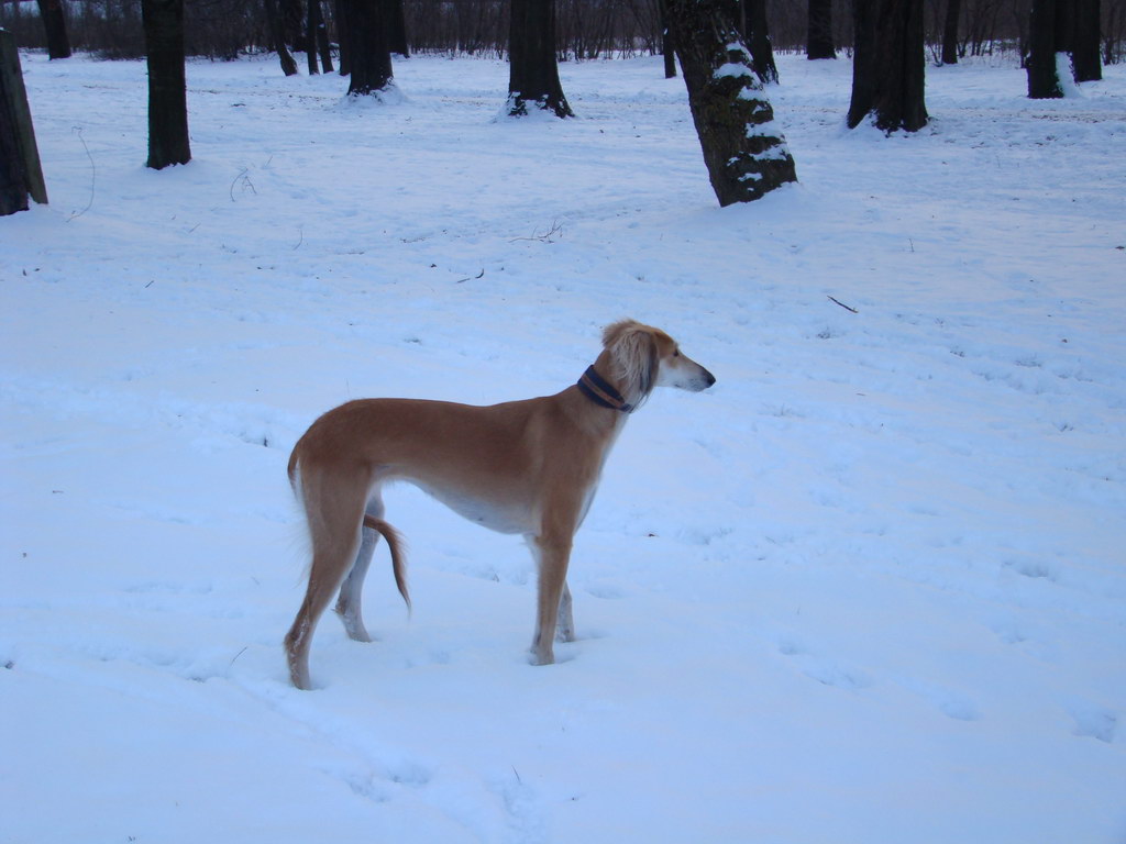 Anička 2.1.2008