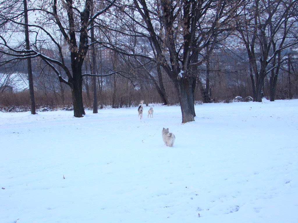 Anička 2.1.2008