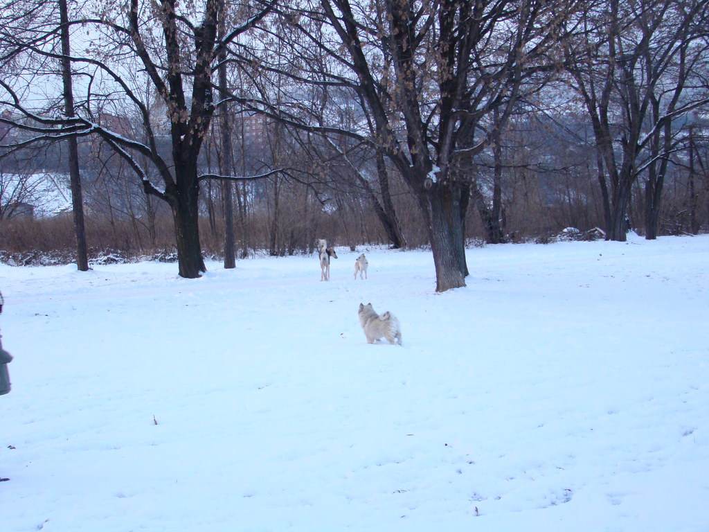 Anička 2.1.2008