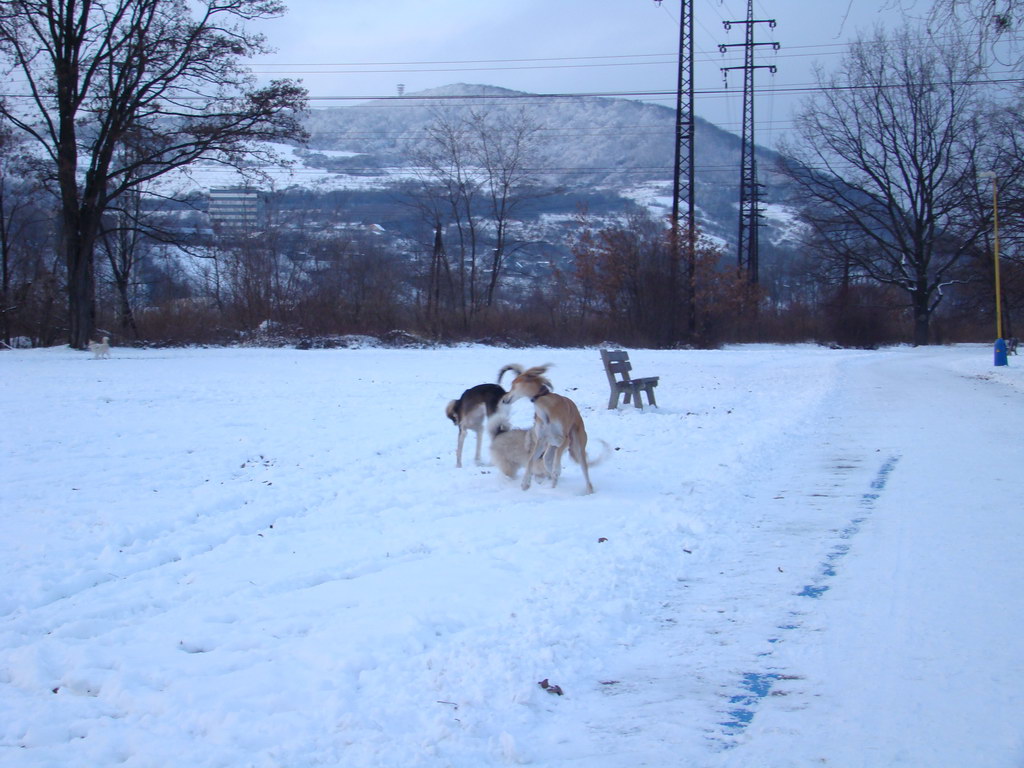 Anička 2.1.2008