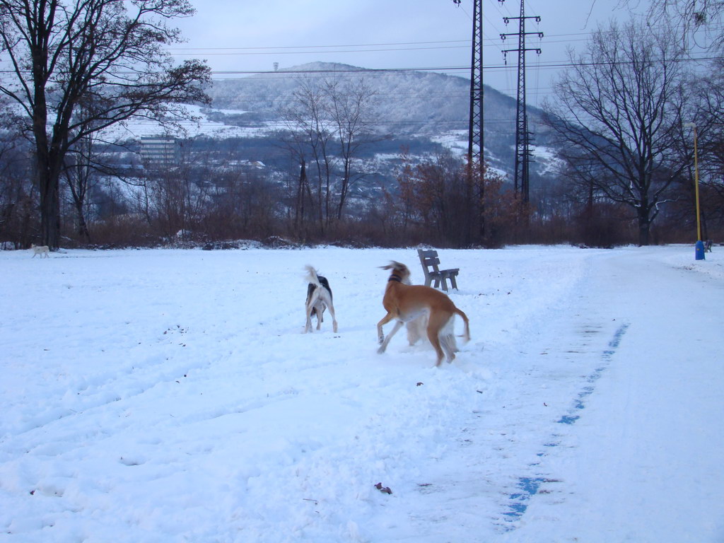 Anička 2.1.2008