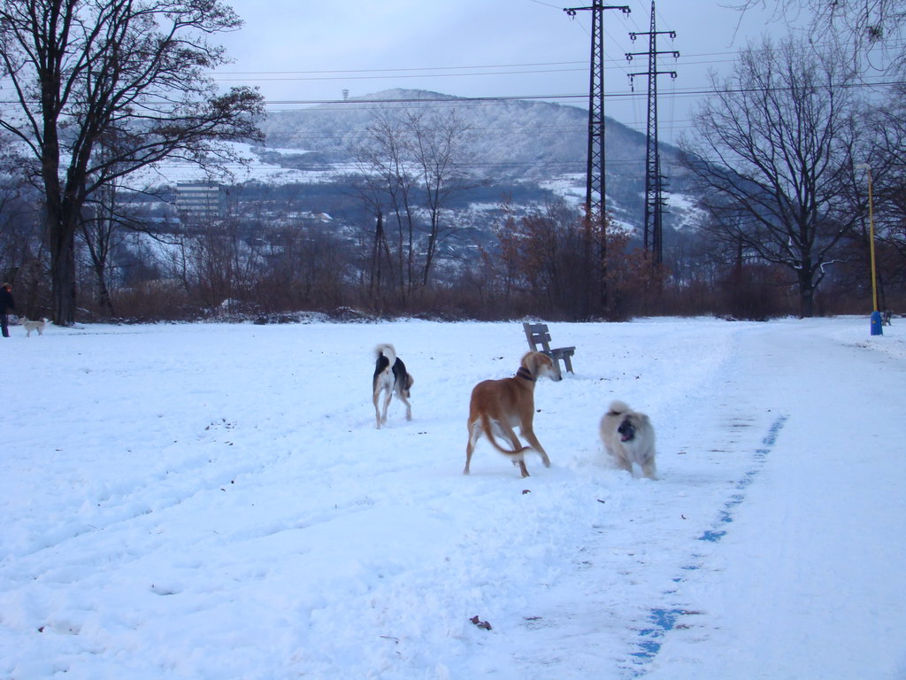 Anička 2.1.2008