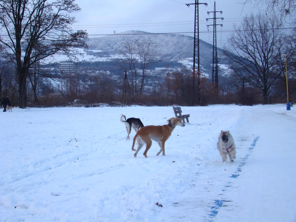 Anička 2.1.2008