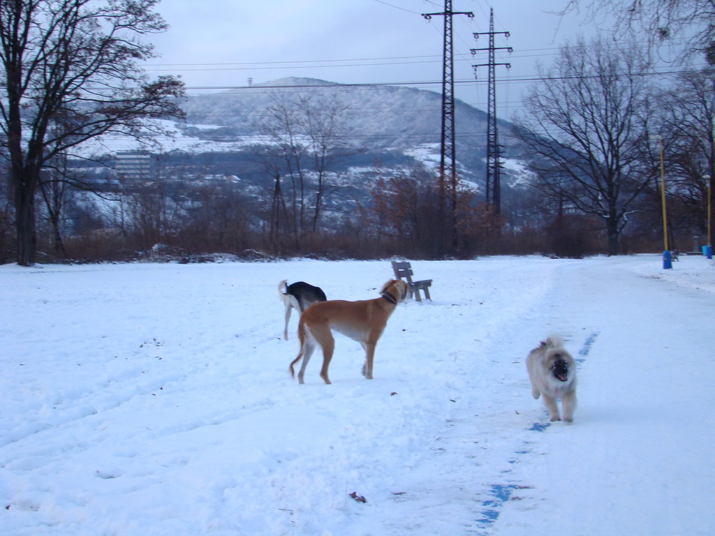 Anička 2.1.2008