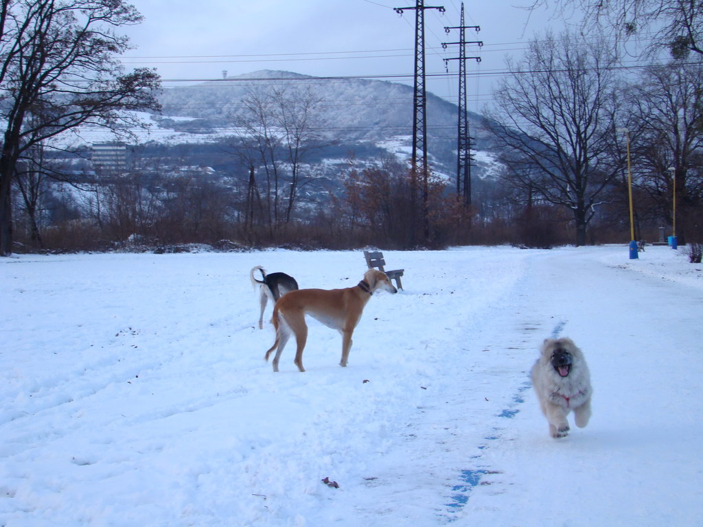 Anička 2.1.2008