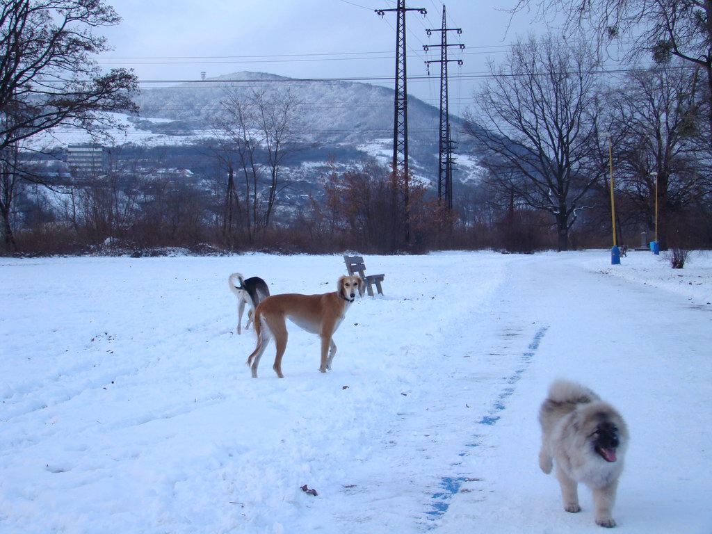 Anička 2.1.2008