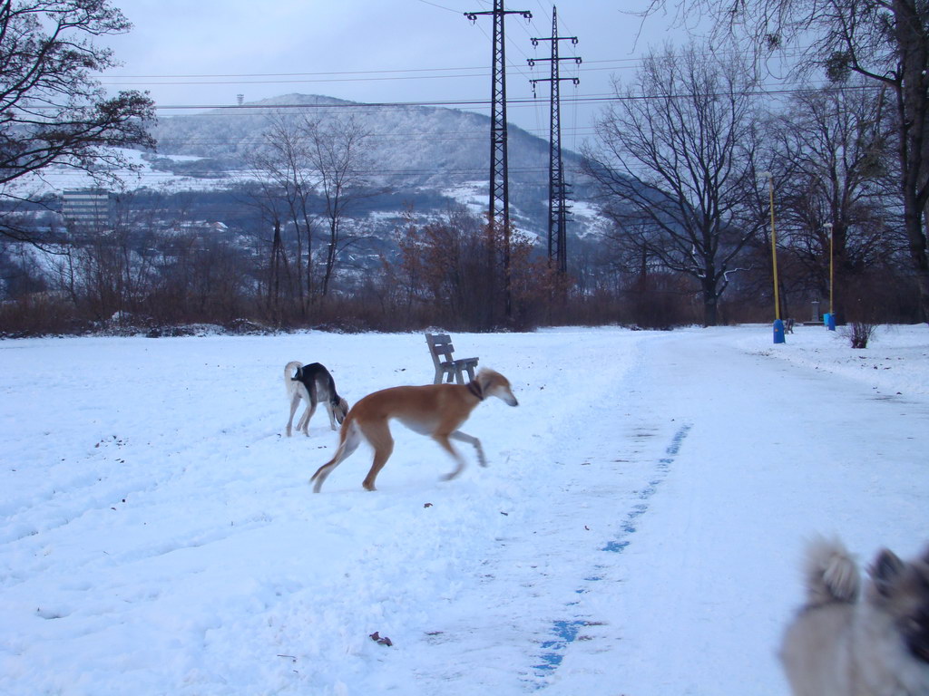 Anička 2.1.2008