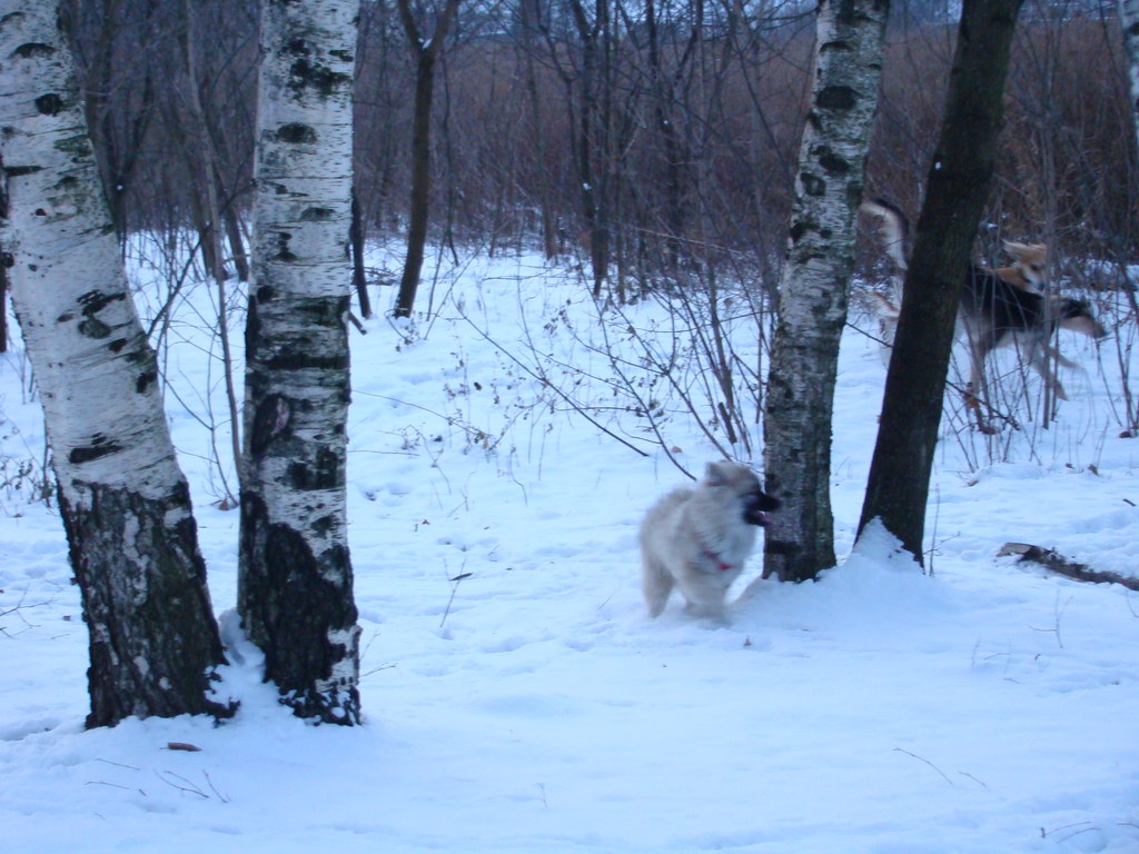 Anička 2.1.2008