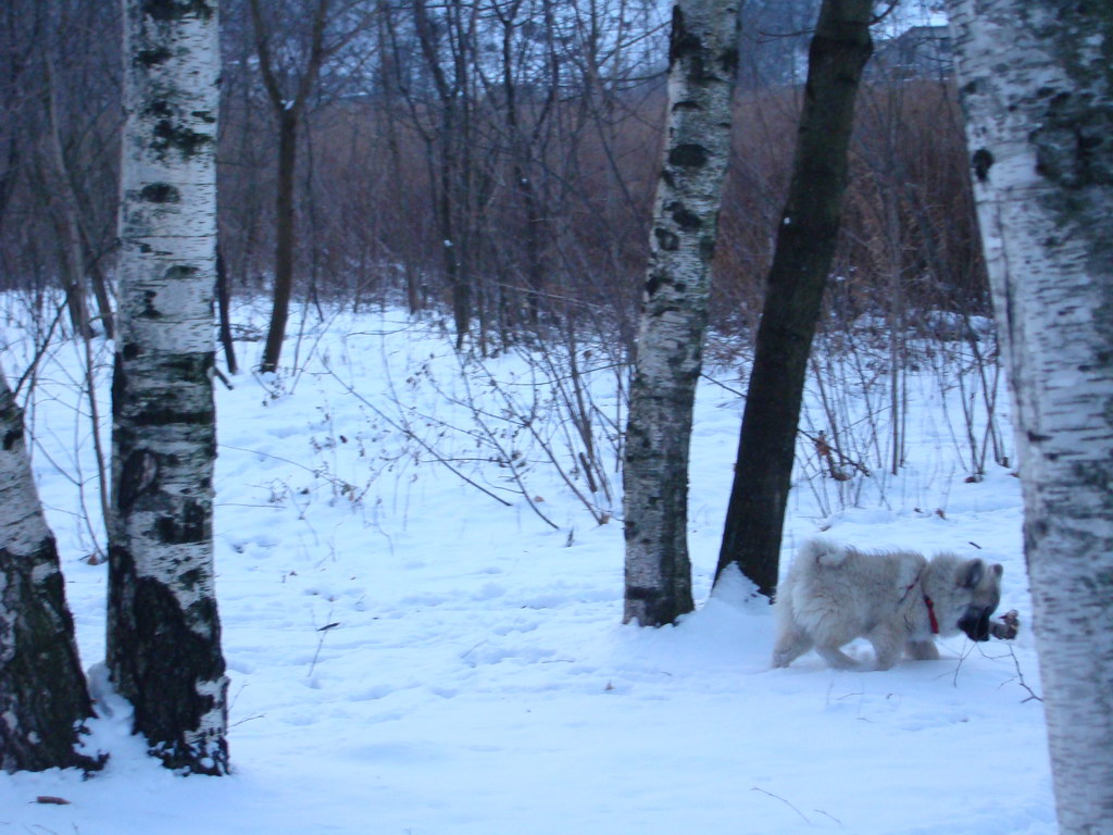 Anička 2.1.2008