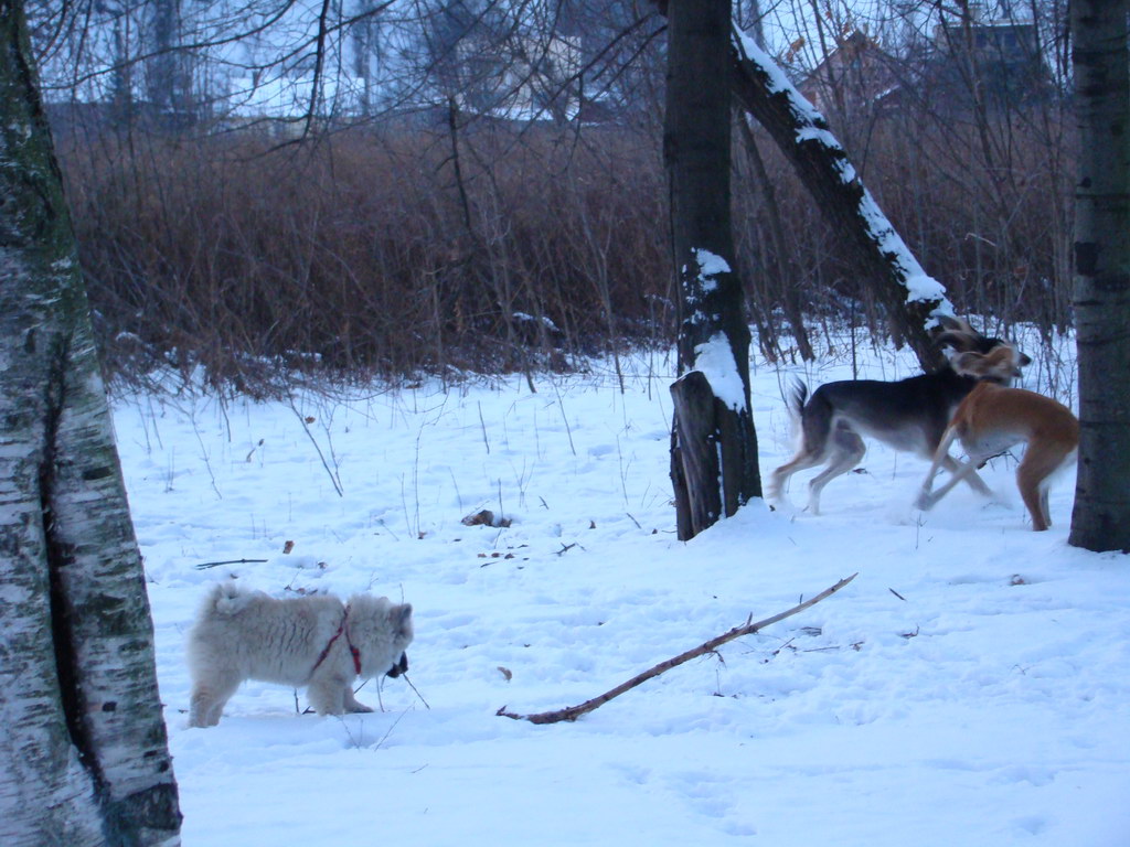 Anička 2.1.2008