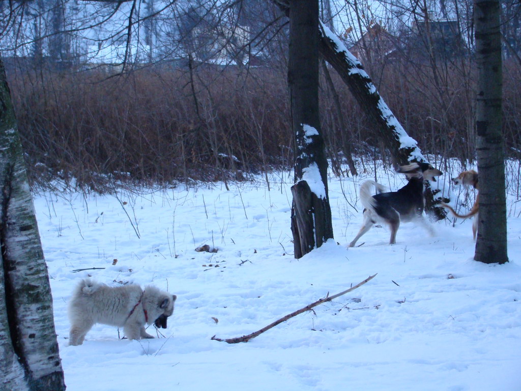 Anička 2.1.2008